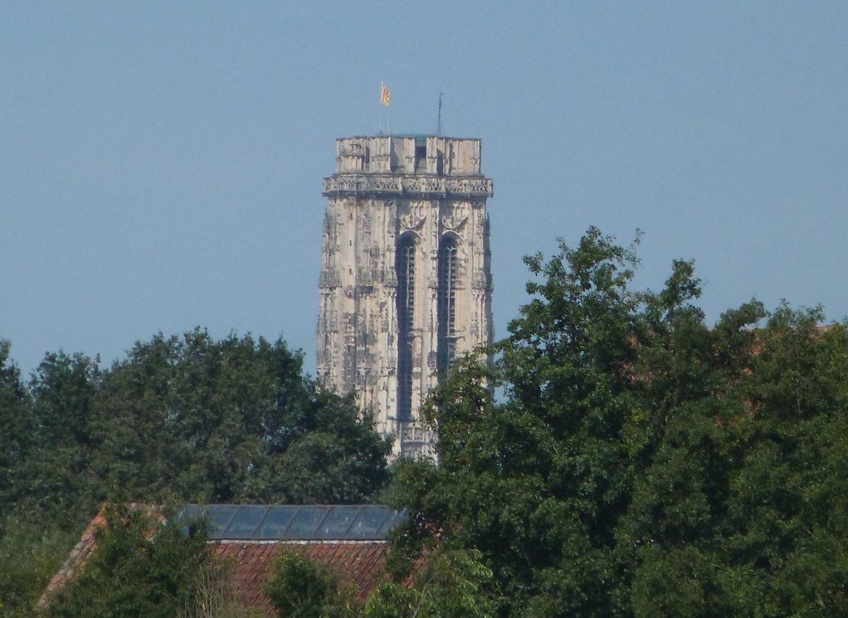 De Sint-Romboutstoren van Mechelen boven de bomen, gezien vanuit Muizen